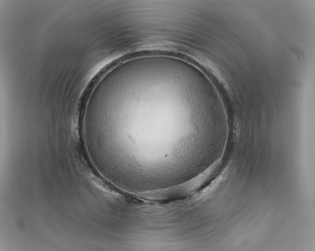 X0000110930830200906181427