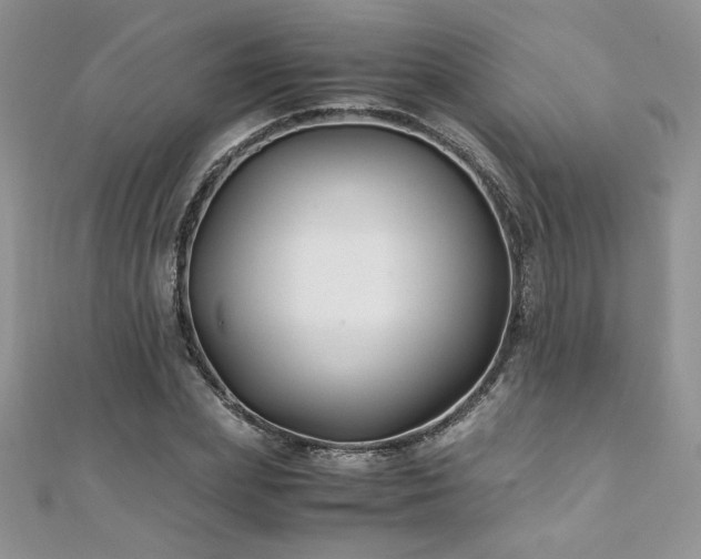 X0000110930831200906181427