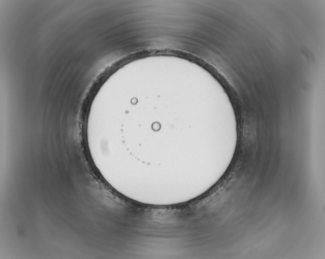 X0000110930832200906181427