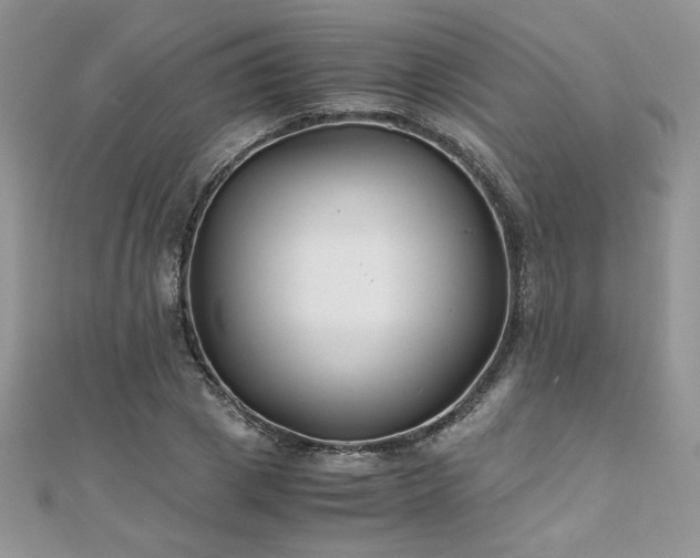 X0000110930833200906181427