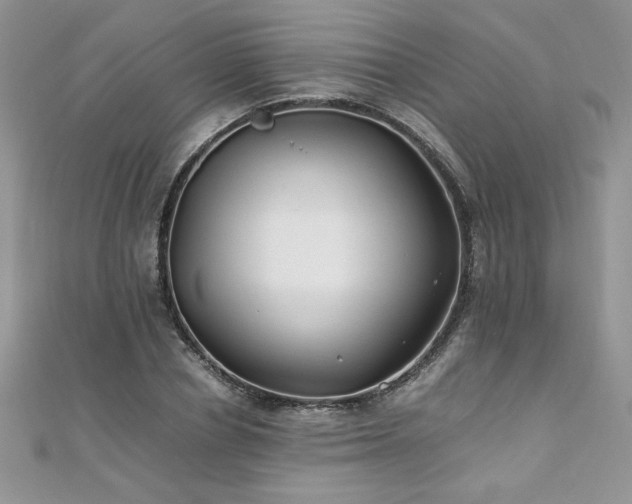 X0000110930834200906181427