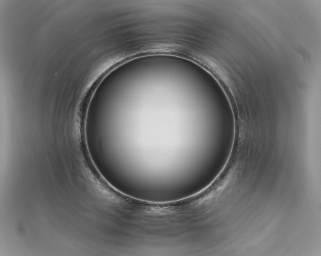 X0000110930835200906181427