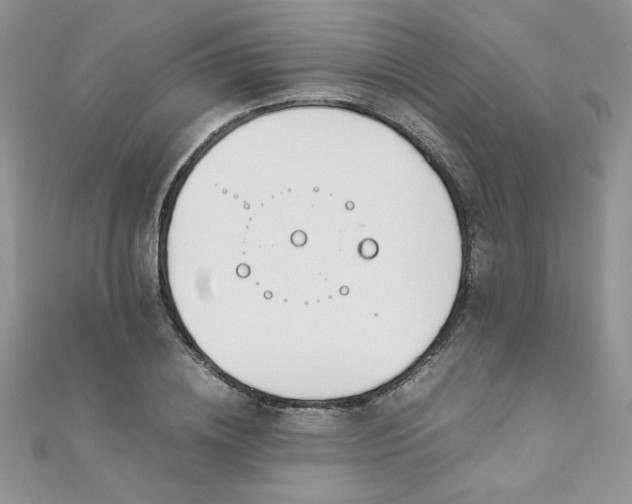 X0000110930836200906181427