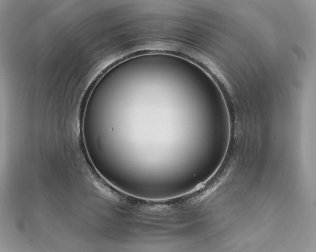 X0000110930837200906181427