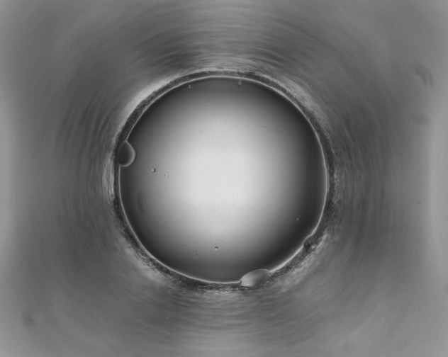 X0000110930838200906181427