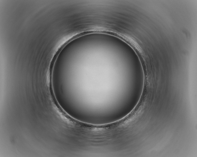 X0000110930839200906181427