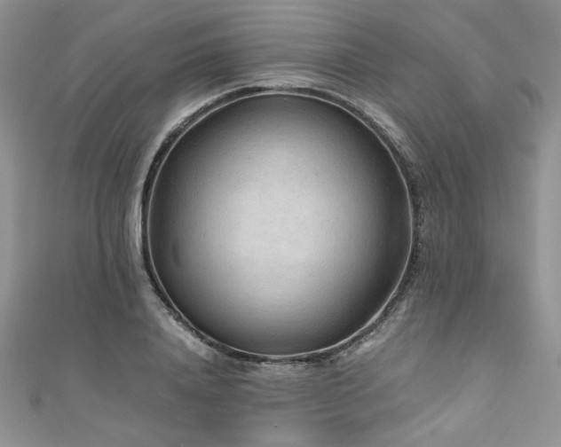 X0000110930840200906181427