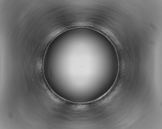 X0000110930841200906181427