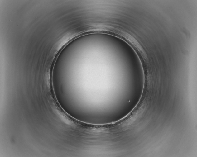 X0000110930842200906181427