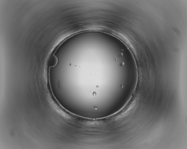 X0000110930843200906181427