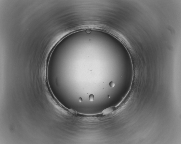 X0000110930844200906181427