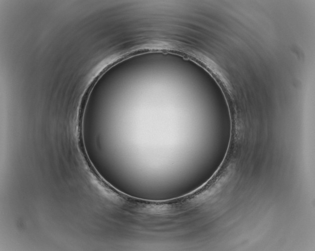 X0000110930845200906181427