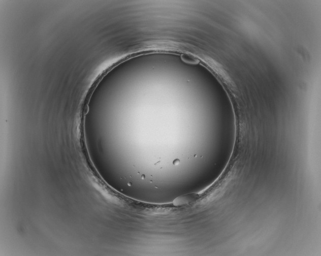 X0000110930846200906181427