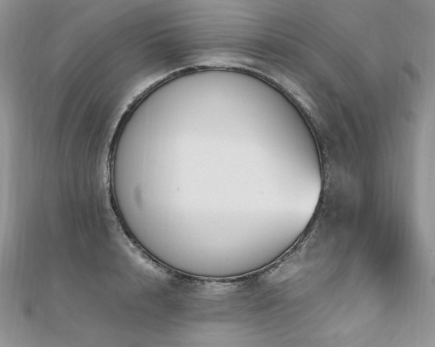 X0000110930848200906181427