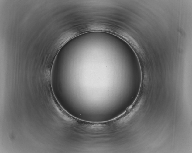 X0000110930849200906181427