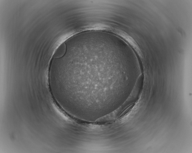 X0000110930850200906181427