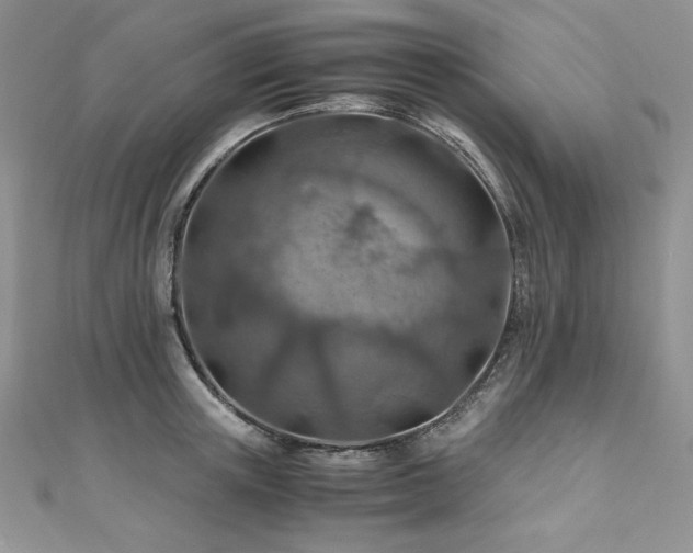 X0000110930851200906181427