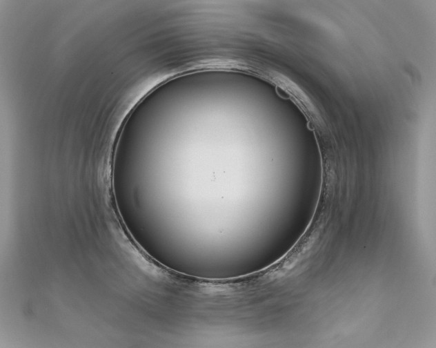 X0000110930852200906181427