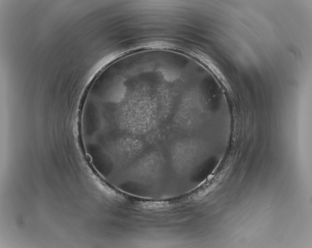 X0000110930853200906181427