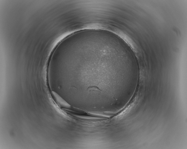 X0000110930854200906181427