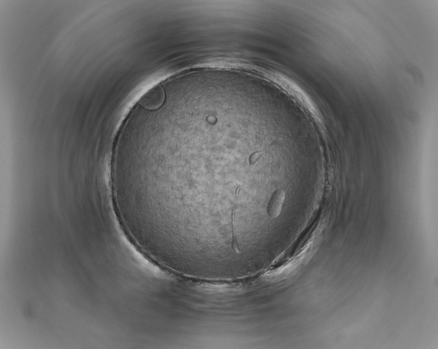 X0000110930855200906181427