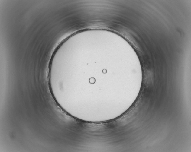 X0000110930856200906181427