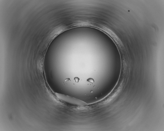 X0000110930857200906181427