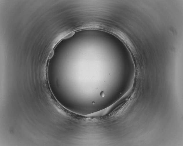 X0000110930858200906181427