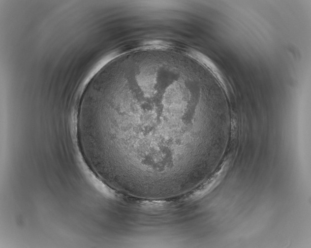 X0000110930859200906181427