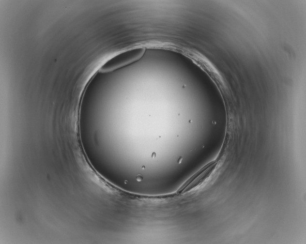 X0000110930860200906181427