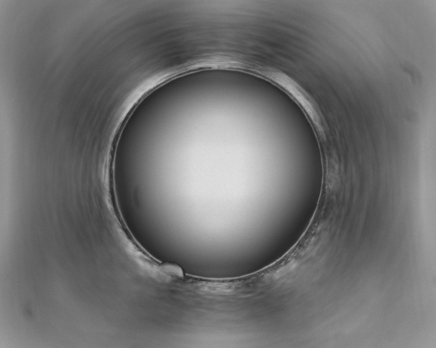 X0000110930861200906181427