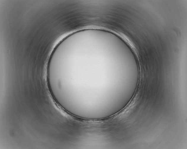 X0000110930862200906181427