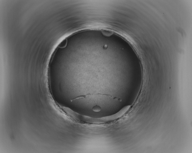 X0000110930864200906181427