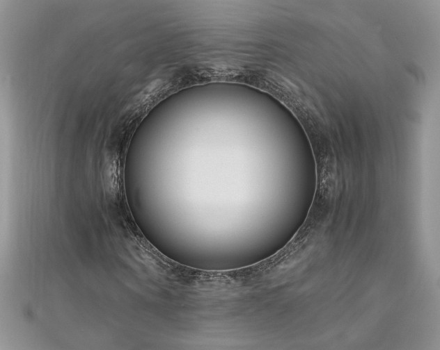 X0000110930866200906181427