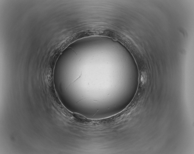 X0000110930867200906181427