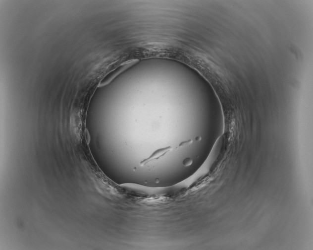 X0000110930868200906181427