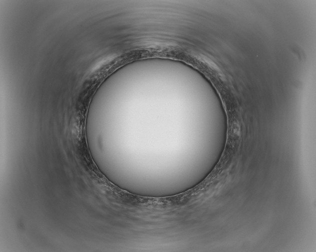 X0000110930869200906181427