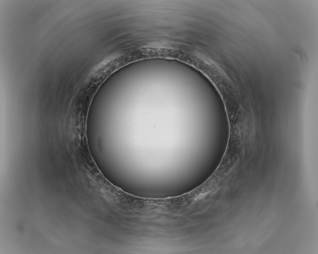 X0000110930870200906181427