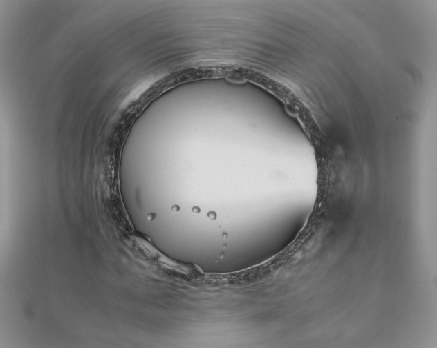 X0000110930871200906181427