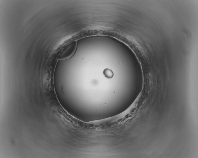 X0000110930872200906181427