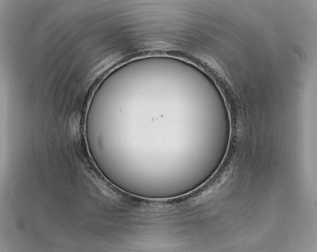 X0000110930873200906181427