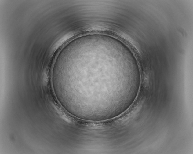 X0000110930874200906181427