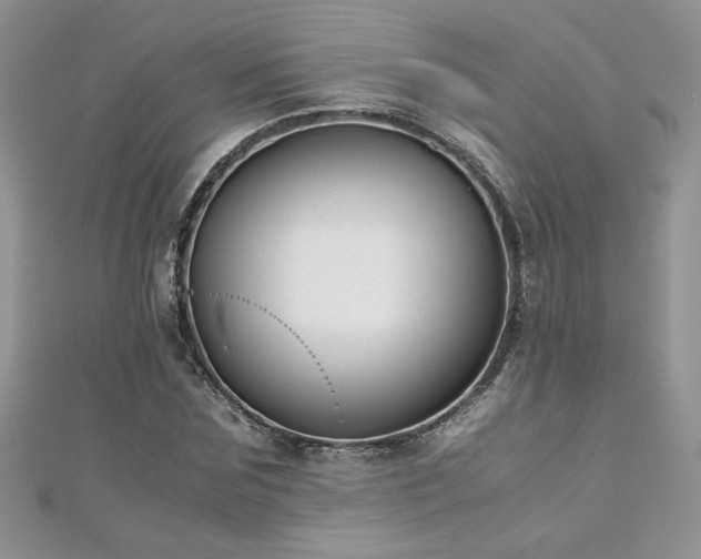 X0000110930875200906181427