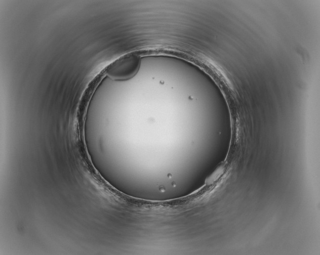 X0000110930876200906181427