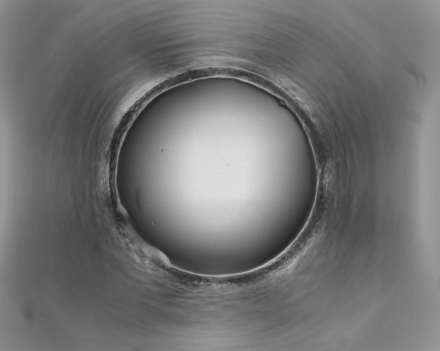 X0000110930877200906181427