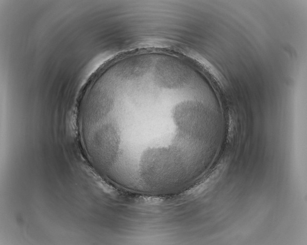 X0000110930878200906181427