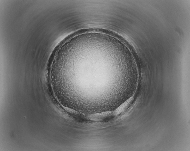 X0000110930879200906181427