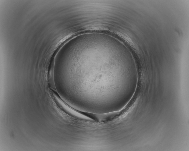 X0000110930881200906181427