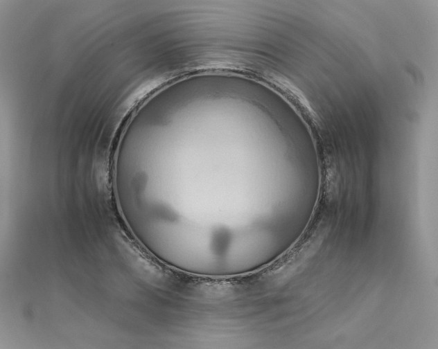 X0000110930882200906181427