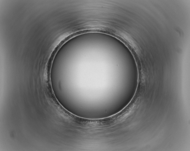 X0000110930883200906181427